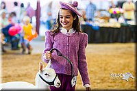 LCF13-4293.jpg