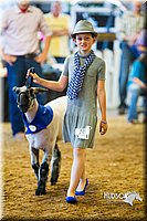 LCF13-4295.jpg