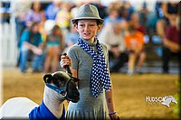 LCF13-4298.jpg