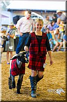 LCF13-4302.jpg