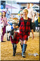 LCF13-4310.jpg