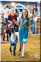 LCF13-4312.jpg