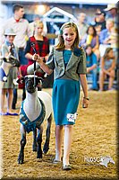LCF13-4313.jpg