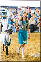 LCF13-4316.jpg