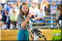 LCF13-4317.jpg