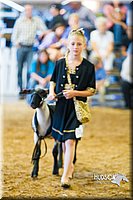 LCF13-4320.jpg