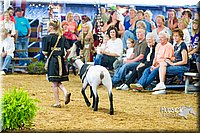 LCF13-4327.jpg