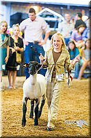 LCF13-4329.jpg