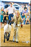 LCF13-4330.jpg