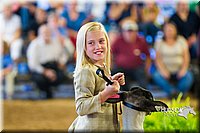 LCF13-4332.jpg