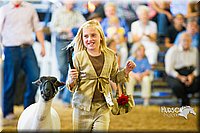 LCF13-4335.jpg