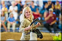 LCF13-4336.jpg