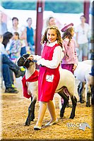 LCF13-4338.jpg