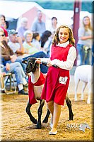 LCF13-4339.jpg