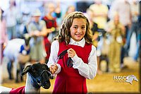 LCF13-4342.jpg