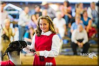 LCF13-4346.jpg