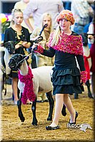 LCF13-4348.jpg