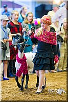 LCF13-4349.jpg