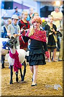 LCF13-4350.jpg