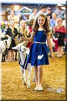 LCF13-4369.jpg