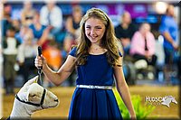 LCF13-4371.jpg