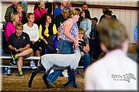 LCF2013-1175.jpg