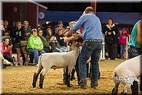 LCF2013-1347.jpg