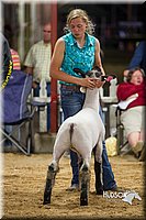 LCF2013-1355.jpg