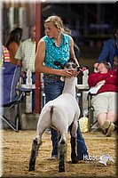 LCF2013-1356.jpg