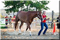 LCF13-2766.jpg