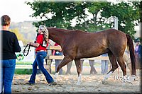 LCF13-2769.jpg