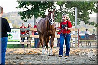 LCF13-2770.jpg