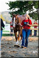 LCF13-2771.jpg