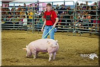 LCF13-2773.jpg