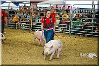 LCF13-2774.jpg