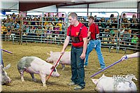 LCF13-2775.jpg