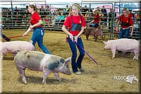 LCF13-2776.jpg