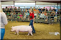 LCF13-2778.jpg