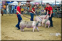 LCF13-2779.jpg