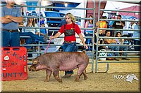 LCF13-2780.jpg