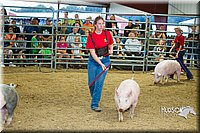 LCF13-2781.jpg