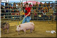 LCF13-2782.jpg