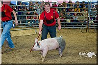 LCF13-2783.jpg