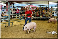 LCF13-2786.jpg