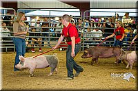 LCF13-2787.jpg
