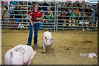 LCF13-2790.jpg