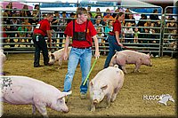 LCF13-2791.jpg