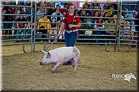 LCF13-2792.jpg