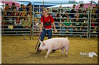 LCF13-2793.jpg
