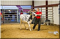 LCF13-2796.jpg